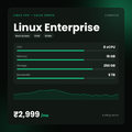 HostGraber Linux Enterprise – Linux VPS – Value Series plan with 8 vCPU, 16 GB RAM, 250 GB NVMe