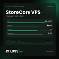 HostGraber StoreCore VPS – Storage-Optimised VPS plan with 24 vCPU Cores, 64 GB RAM, 1000 GB NVMe SSD