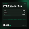 HostGraber VPS Reseller Pro – VPS Reseller plan with 200 GB NVMe SSD, 3 TB Bandwidth